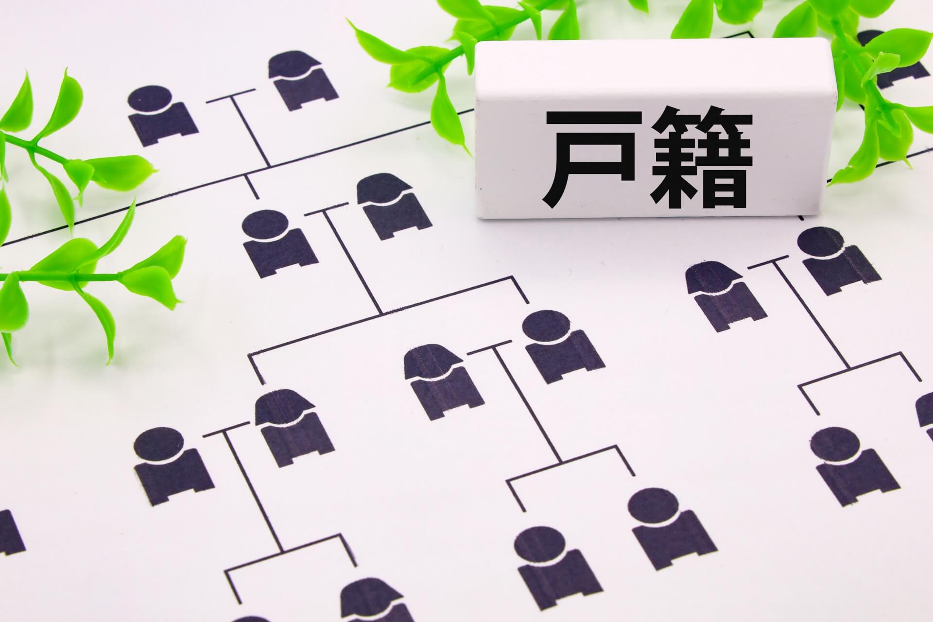 戸籍を示す家系図のイメージ